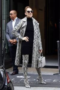 49歲的時尚新星！打破你印象的Celine Dion
