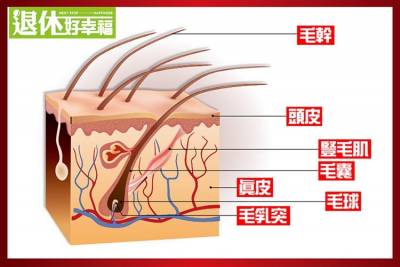 一年染髮不能超過3次！如何維持烏黑亮麗的秀髮，皮膚科醫師這樣說...