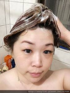 [美髮]施華寇多效修護洗髮乳~愛美女人最愛的 持續的豐盈天使光圈感 │由內而外的多方修護，才能閃耀健康亮澤~