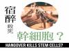 宿醉殺死幹細胞？