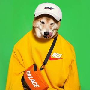 誰能比這隻「柴犬」更會穿？IG爆紅穿搭神犬與NIKE推超狂聯名