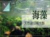 天然油切補水劑「海藻」