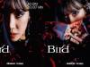 Apink金南珠solo《BIRD》歐美「紫羅蘭眼影」blingbling變身超A視覺妝容｜妝容教學