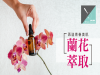 「蘭花萃取」再造青春美肌
