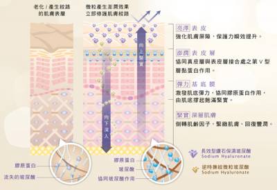 小小一滴大大學問 揭開玻尿酸的神祕面紗