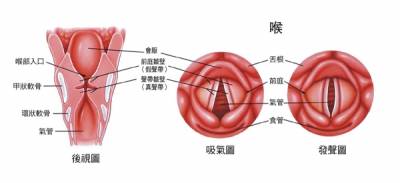 顯老的鬆鬆脖能整形 那，聲音能整嗎？