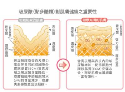 肌膚保養新概念，讓美麗持續的秘密